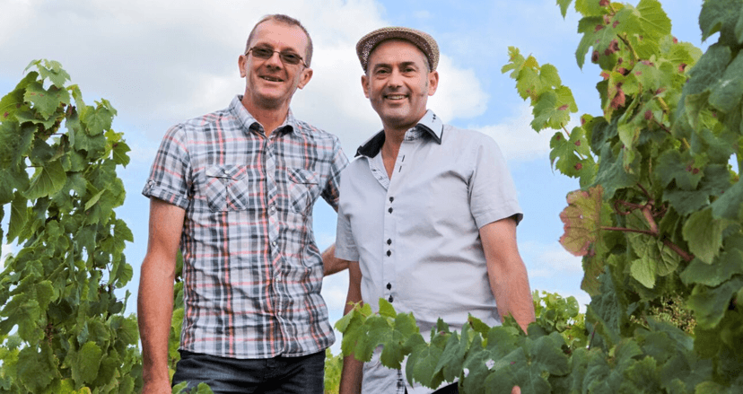 Vigneron